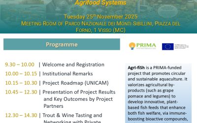 Project Final Meeting